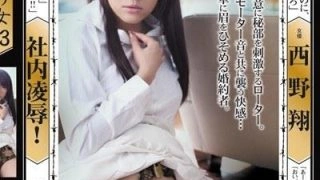 RBD-360 Sho Nishino หักหลังกินรวบ โดนควบกิจกาม